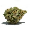 Bruce Banner_BC_WEED_EXPRESS