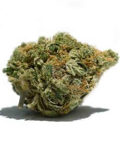 Bruce Banner_BC_WEED_EXPRESS