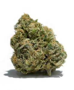 Bruce Banner_BC_WEED_EXPRESS 2