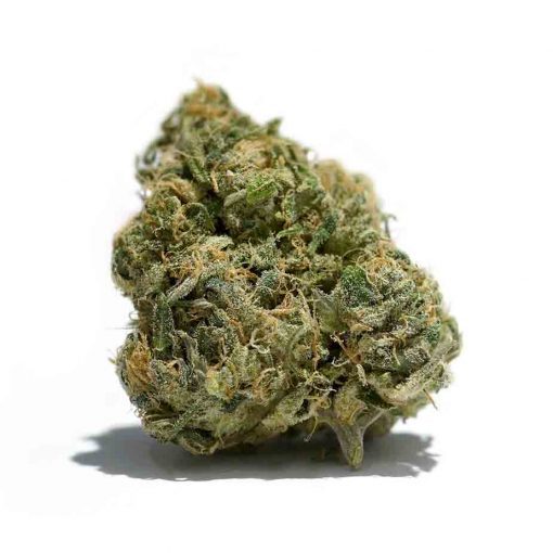 Bruce Banner_BC_WEED_EXPRESS 2