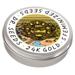 Dr-Seeds_Feminized_24K-Gold_Tin-1-BCWEEDEXPRESS