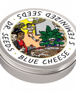 Dr-Seeds_Feminized_Blue-Cheese_Tin-BCWEEDEXPRESS