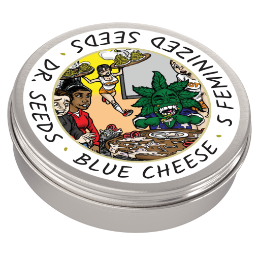 Dr-Seeds_Feminized_Blue-Cheese_Tin-BCWEEDEXPRESS