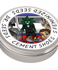 Dr-Seeds_Feminized_Cement-Shoes_Tin-BCWEEDEXPRESS