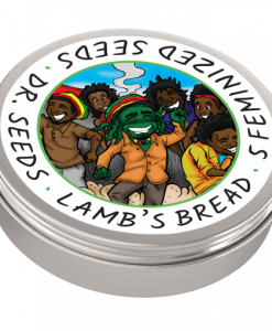 Dr-Seeds_Feminized_Lambs-Bread_Tin-BCWEEDEXPRESS