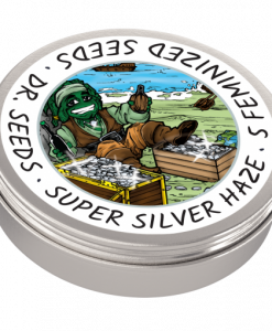 Super Silver Haze-DRSEEDS-BCWE