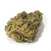 Ghost OG Kush_BC_WEED_EXPRESS