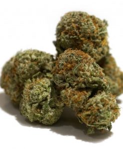 Mango Haze_BC_WEED_EXPRESS