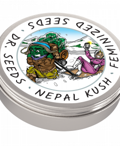 Nepal Kush Dr. Seeds