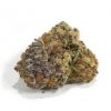 Purple Kush_BC_WEED_EXPRESS