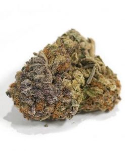 Purple Kush_BC_WEED_EXPRESS