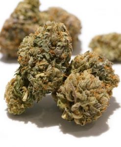 Rockstar Kush_BC_WEED_EXPRESS 2