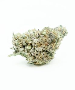 Grape Fritters (AAAA)