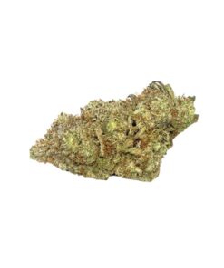 Jet Fuel Gelato (AAAA)