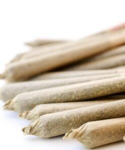 Pre Roll Mix And Match Bundle (5 total)