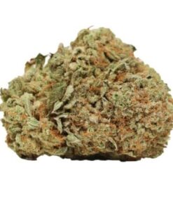 El Muerte (Bulk)