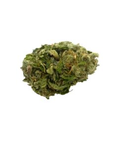 Gas Berry