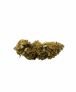 AA Agent Orange