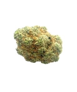 Donkey Budder