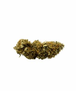 AA Agent Orange