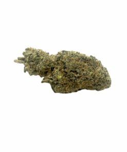Grape Stomper