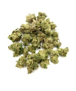Purple Zkittles (Small Nugs)
