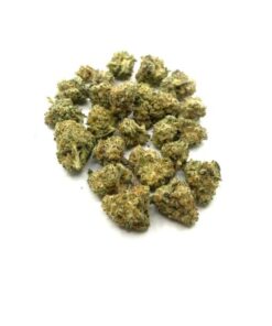 Ghost Rider (Small Nugs)