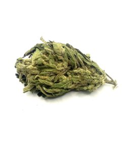 Froot By The Foot (Sungrown)