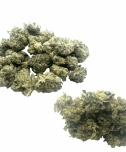 Watermelon Haze + Gas Nana (Small Nug - Contains Seeds) Quarter Pound