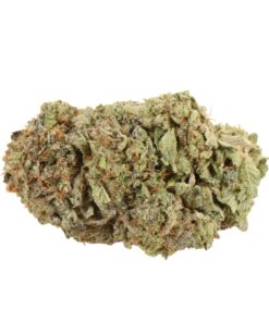 MK Ultra