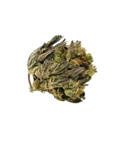 Durban Poison