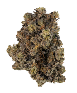 Hornby Island Pink Kush AAAA