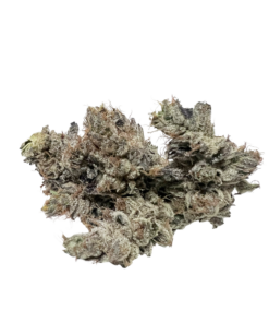 El Chapo (AAAA)