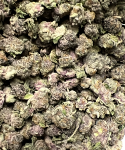 Purple Thug (Small Nug)